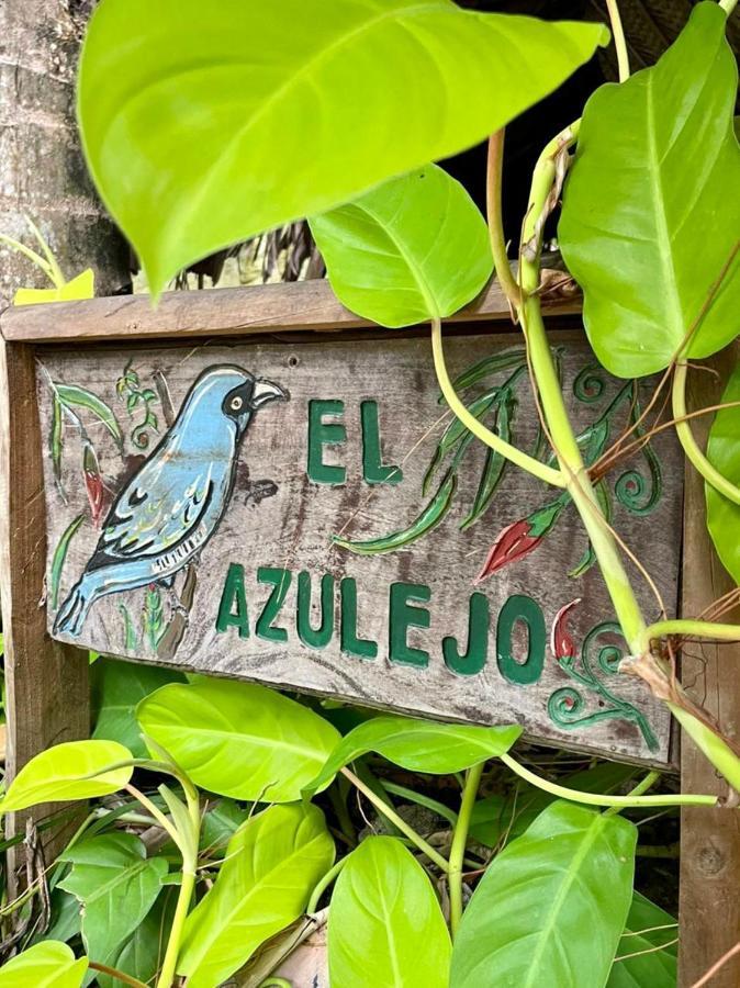 Eco Hostal Yuluka Zaino Kültér fotó